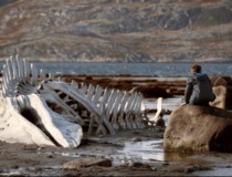 Leviathan Still from Leviathan
