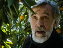 Tangerines Still from Tangerines